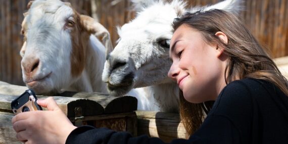 girls hugging a goat